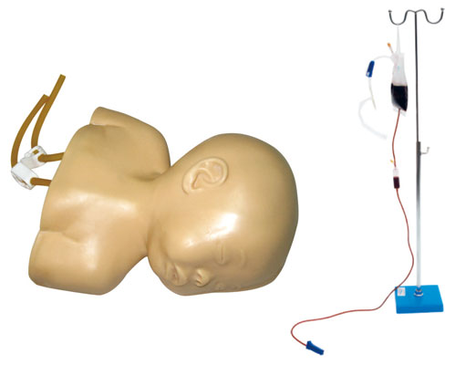 高级婴儿头部静脉穿刺训练示教模型