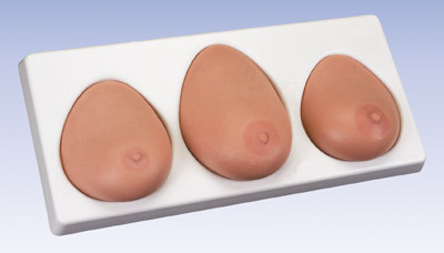 高级乳房检查模型（一套三部件）