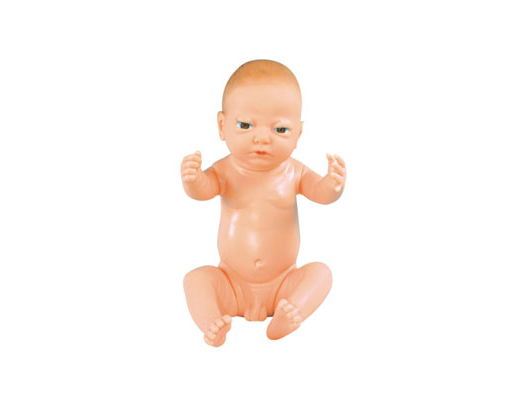 高级满月婴儿模型(男婴\女婴任选，重量4000克)