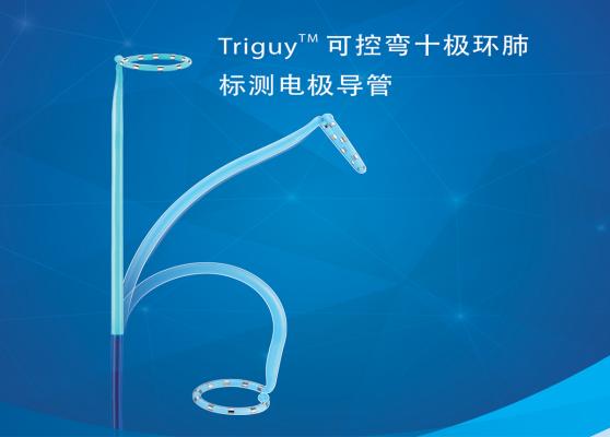 triguy™ pv环状可控标测导管