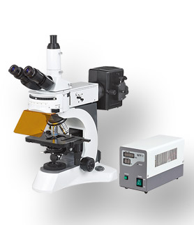 NIB－100F倒置荧光显微镜
