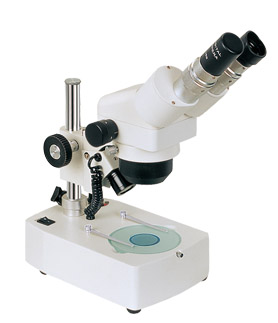 NTB－2B连续变倍体视显微镜
