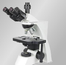 bk-fl生物显微镜