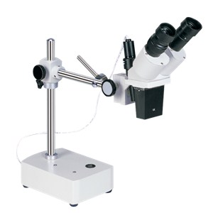 NTX-L 变倍体视显微镜