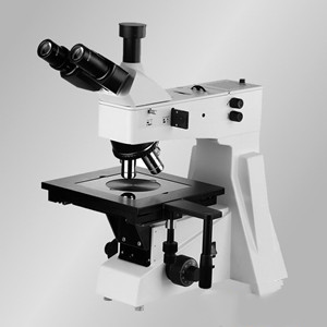 XTL-302明场正置金相显微镜