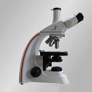 TL2800A研究级三目生物显微镜