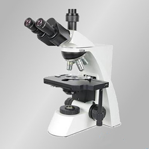 TLX-662科研微生物显微镜