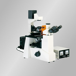 倒置荧光显微镜DXY-1