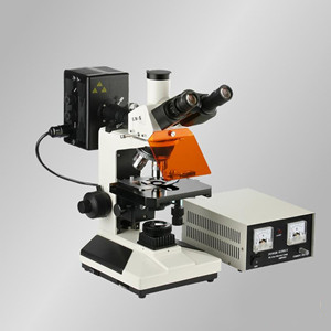 CFM-300正置落射蓝绿激发荧光显微镜