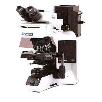 OLYMPUS奥林巴斯 生物显微镜 BX53三目