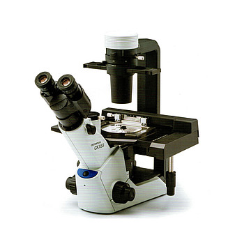 OLYMPUS奥林巴斯CKX53生物显微镜Biological Microscope