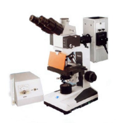 荧光显微镜EUROStar III Plus