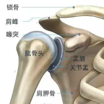 肩关节系统-肱骨柄comprehensive fracture shoulder system