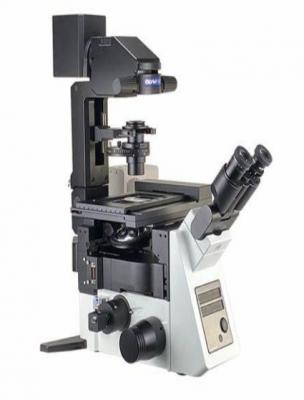 ds-08荧光扫描显微系统