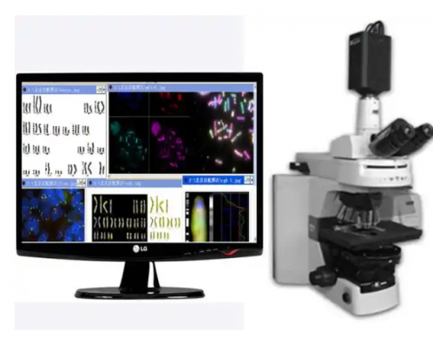 染色体核型分析软件zixing vision