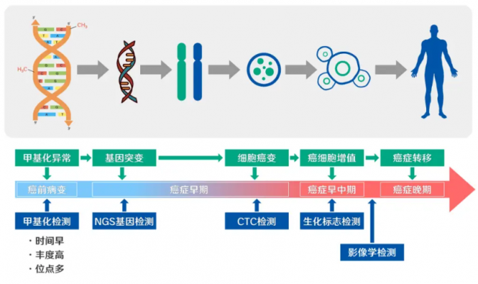 pcdhgb7基因甲基化检测分析软件epiprobe02