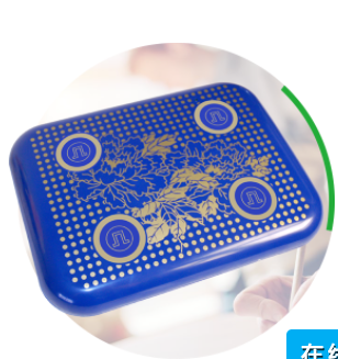 红外磁脉冲治疗仪（单体式）LD-22