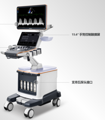 recho r9s彩超（心脏）代理